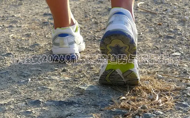 足球蜘蛛直播在线观看