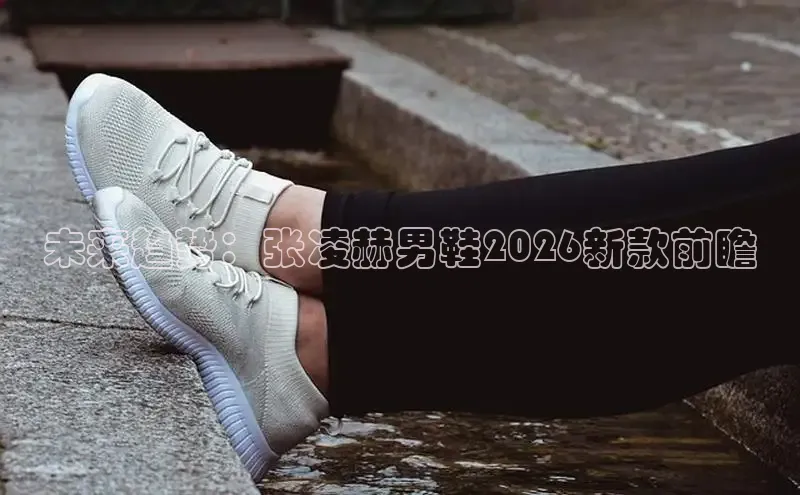未来趋势：张凌赫男鞋2026新款前瞻